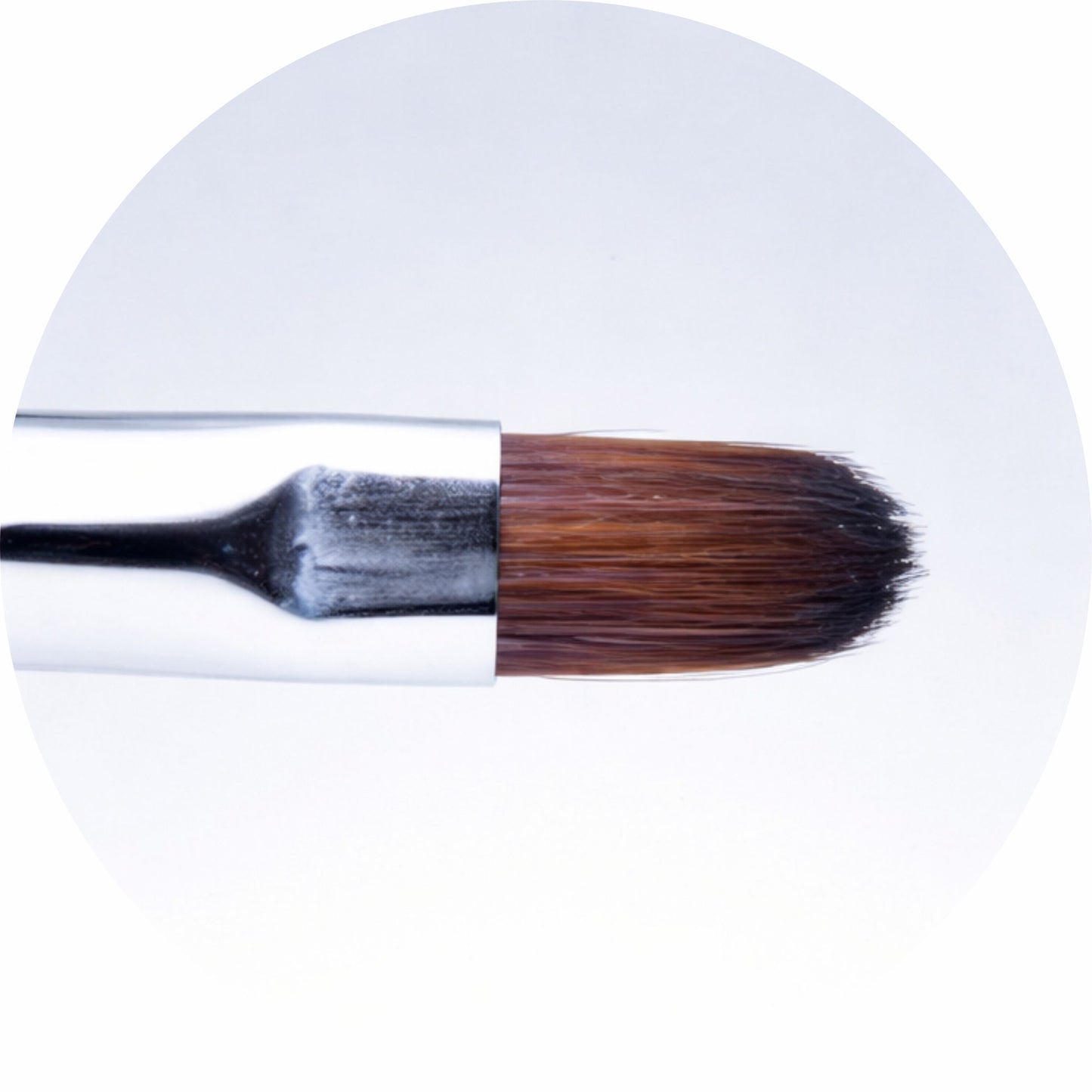 PROBRUSH PINCEL 1 WONDER - FRANCES