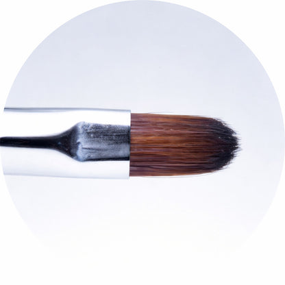 PROBRUSH PINCEL 1 WONDER - FRANCES